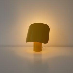 Custom Designed Lamp